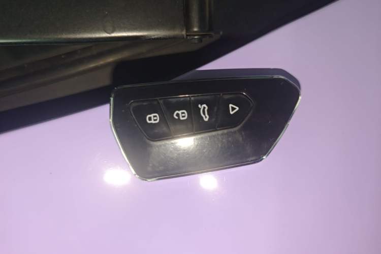 Used Chery QQ Little Ant 2022 Mei Romance 30.6 kWh Vehicle Key