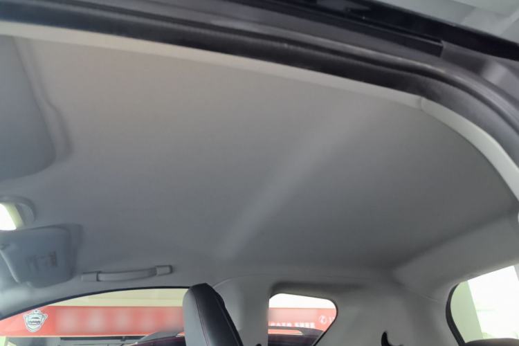 Used Chery QQ Little Ant 2022 Sweet Pink Edition Half-Sugar Version Lithium Iron Phosphate 30 kW 301 km Headliner