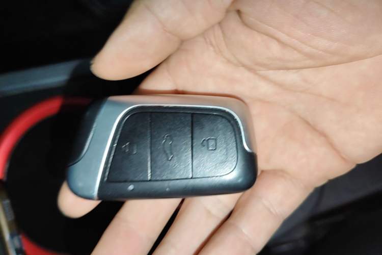 Used Chery QQ Little Ant 2022 Sweet Pink Edition Half-Sugar Version 3-Cell Lithium 30kW 301km Interior 1