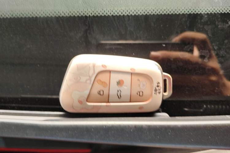 Used Chery QQ Little Ant 2022 Revised Version Sweet Pink Edition Half-Sugar Version Lithium Iron Phosphate 30.7 kWh 30 kW 301 km Vehicle Key