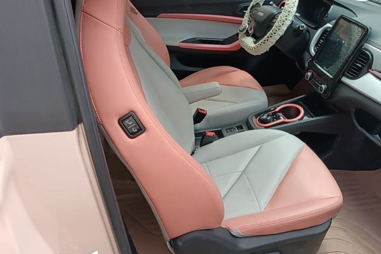 Used Chery QQ Little Ant 2022 Restyled Version Sweet Pink Edition Half-Sugar Version 30.6 kWh 30 kW 301 km Right Front Seat