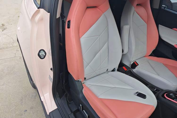Used Chery QQ Little Ant 2022 Sweet Pink Edition Low-Sugar Version 30kW 301km Range Right Front Seat