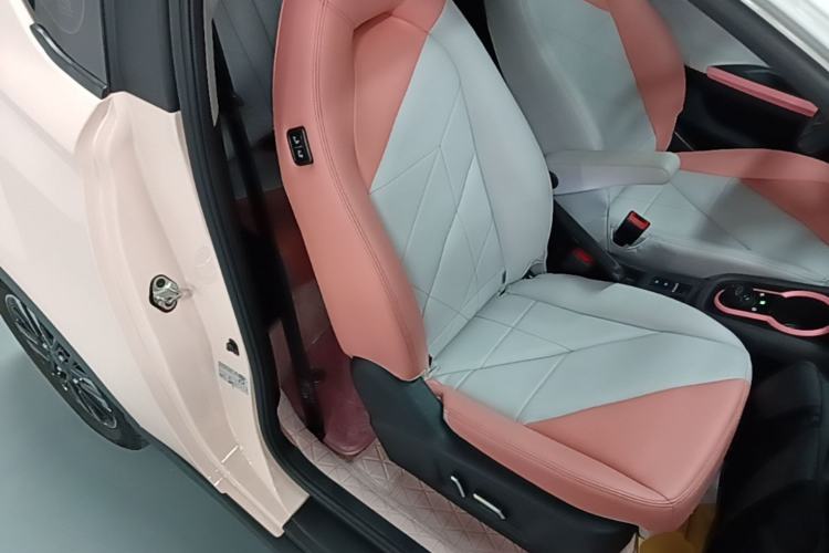 Used Chery QQ Little Ant 2022 Sweet Pink Edition Half-Sugar Version Lithium Iron Phosphate 30 kW 301 km Right Front Seat