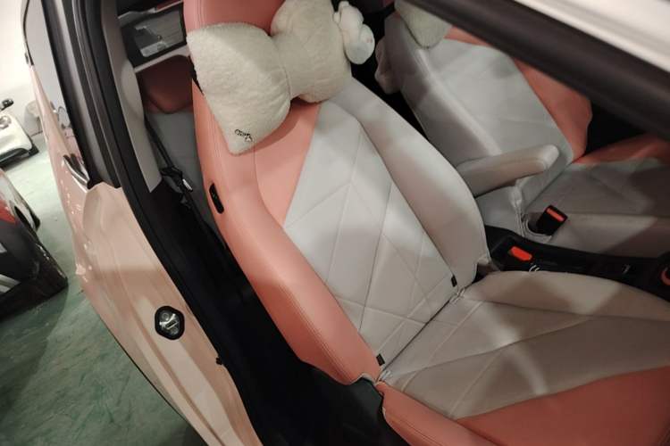 Used Chery QQ Little Ant 2022 Revised Version Sweet Pink Edition Half-Sugar Version Lithium Iron Phosphate 30.7 kWh 30 kW 301 km Right Front Seat
