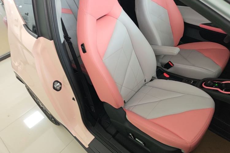 Used Chery QQ Little Ant 2022 Sweet Pink Edition Half-Sugar Version Lithium Iron Phosphate 29.2 kWh 30 kW 301 km Right Front Seat
