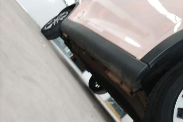 Used Chery QQ Little Ant 2022 Restyled Version Sweet Pink Edition Half-Sugar Version 28.8 kWh 30 kW 301 km Right Side Sill