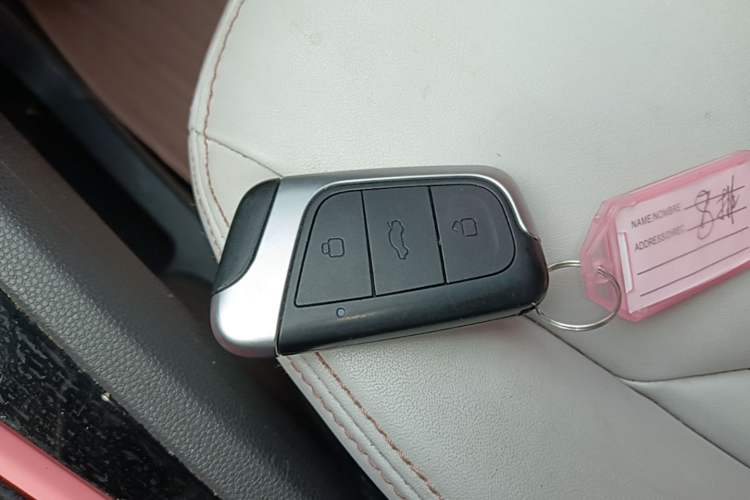 Used Chery QQ Little Ant 2022 Restyled Version Sweet Pink Edition Half-Sugar Version 30.6 kWh 30 kW 301 km Vehicle Key
