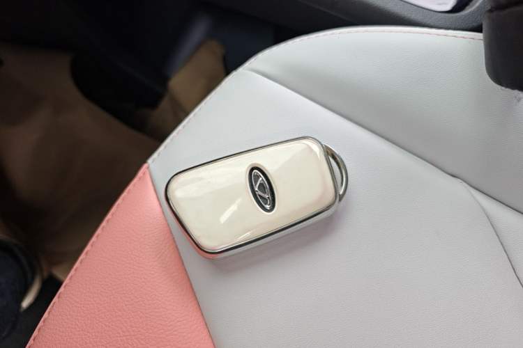 Used Chery QQ Little Ant 2022 Revised Version Sweet Pink Edition Half-Sugar Version Lithium Iron Phosphate 30.7 kWh 30 kW 301 km Vehicle Key
