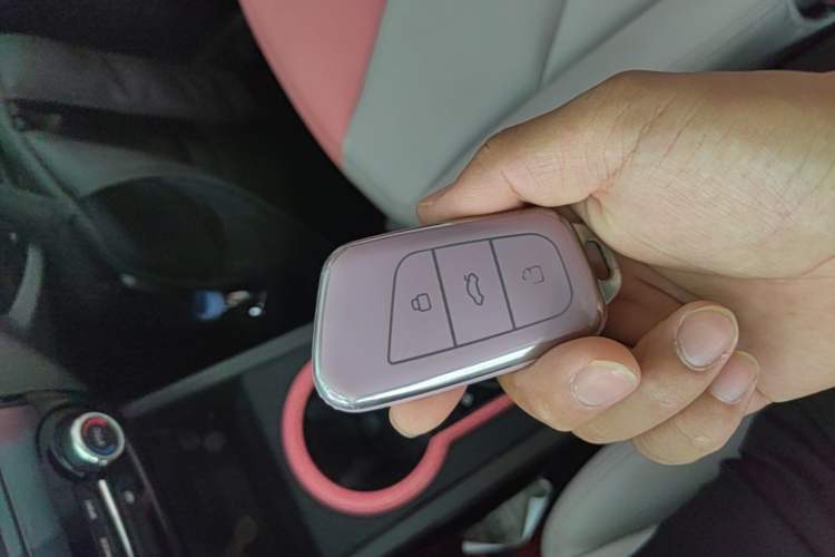 Used Chery QQ Little Ant 2022 Sweet Pink Edition Half-Sugar Version Lithium Iron Phosphate 29.2 kWh 30 kW 301 km Vehicle Key