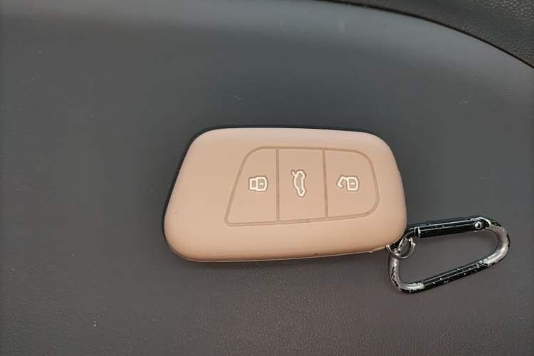 Used Chery QQ Little Ant 2022 Restyled Version Sweet Pink Edition Half-Sugar Version 28.8 kWh 30 kW 301 km Vehicle Key