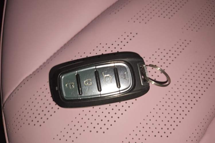 Used Chery QQ Little Ant 2022 Mei Romance 30.6 kWh Vehicle Key