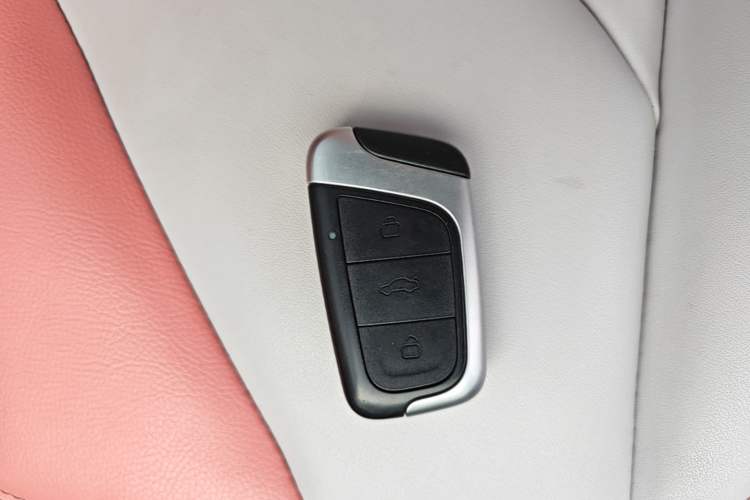 Used Chery QQ Little Ant 2022 Sweet Pink Edition Low-Sugar Version 30kW 301km Range Vehicle Key
