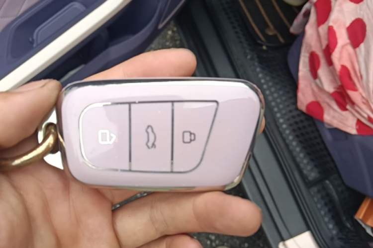 Used Chery QQ Little Ant 2022 Me 301km Rococo Lithium Iron Phosphate Vehicle Key