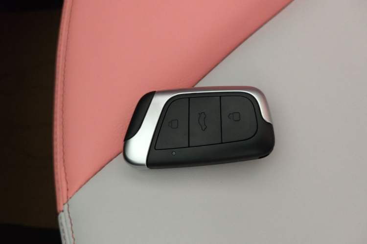 Used Chery QQ Little Ant 2022 Sweet Pink Edition Half-Sugar Version Lithium Iron Phosphate 29.2 kWh 30 kW 301 km Vehicle Key