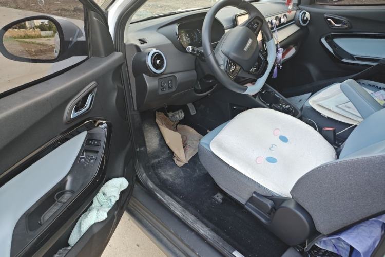 Used Chery QQ Little Ant 2022 Sweet Pink Edition Half-Sugar Version 3-Cell Lithium 30kW 301km Driver Seat