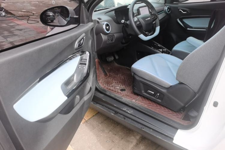 Used Chery QQ Little Ant 2022 Sweet Pink Edition Full-Sugar Version Lithium Iron Phosphate 30 kW 301 km Driver Seat