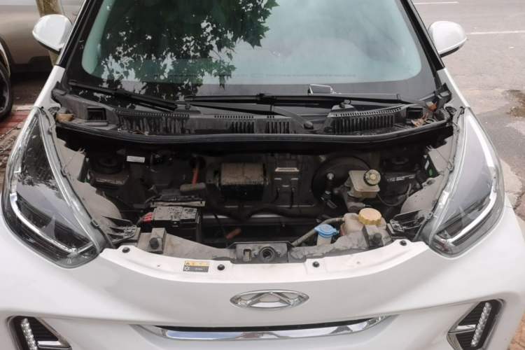 Used Chery QQ Little Ant 2022 Sweet Pink Edition Full-Sugar Version Lithium Iron Phosphate 30 kW 301 km Engine Bay