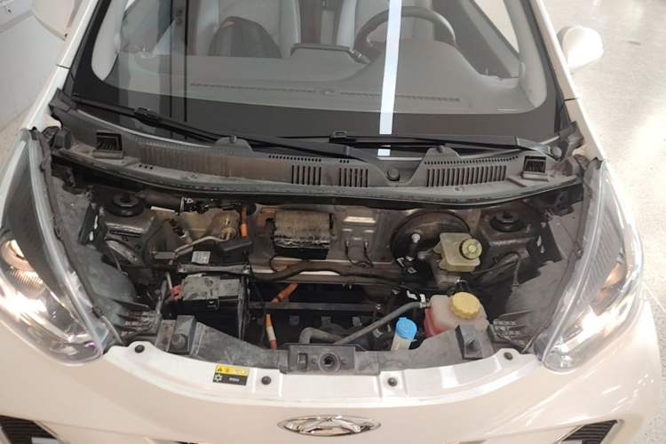 Used Chery QQ Little Ant 2022 Sweet Pink Edition Half-Sugar Version Lithium Iron Phosphate 30 kW 301 km Engine Bay