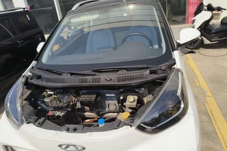 Used Chery QQ Little Ant 2022 Sweet Pink Edition Full-Sugar Version Lithium Iron Phosphate 30 kW 301 km Engine Bay