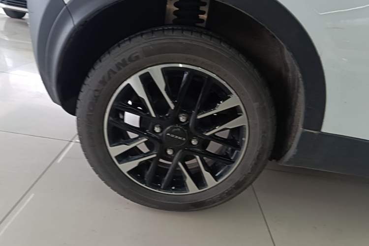 Used Chery QQ Little Ant 2022 Sweet Pink Edition Low-Sugar Version Lithium Iron Phosphate 30 kW 301 km Exterior 5
