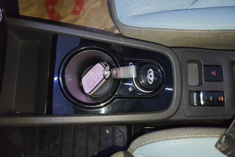 Used Chery QQ Little Ant 2022 Sweet Pink Edition Full-Sugar Version Lithium Iron Phosphate 30 kW 301 km Gear Lever