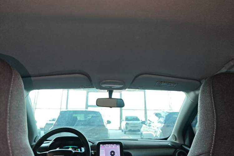 Used Chery QQ Little Ant 2022 Sweet Pink Edition Half-Sugar Version 3-Cell Lithium 30kW 301km Headliner