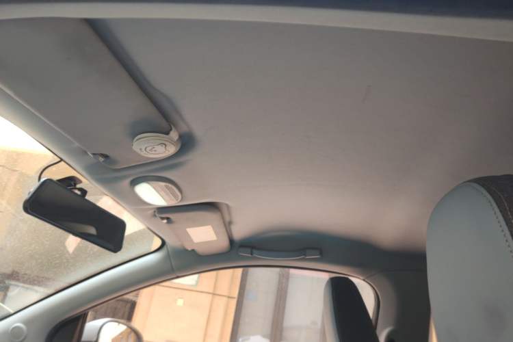 Used Chery QQ Little Ant 2022 Sweet Pink Edition Half-Sugar Version Lithium Iron Phosphate 30 kW 301 km Headliner