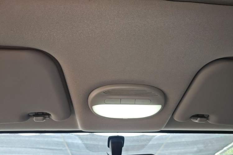 Used Chery QQ Little Ant 2022 Updated Version Sweet Pink Edition Full-Sugar Version 30.6 kWh 30 kW 301 km Headliner