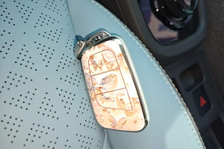 Used Chery QQ Little Ant 2022 Sweet Pink Edition Half-Sugar Version Lithium Iron Phosphate 29.2 kWh 30 kW 301 km Interior 1