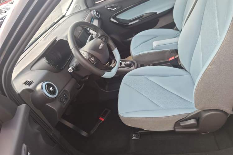 Used Chery QQ Little Ant 2022 Sweet Pink Edition Half-Sugar Version Lithium Iron Phosphate 30 kW 301 km Left Front Seat