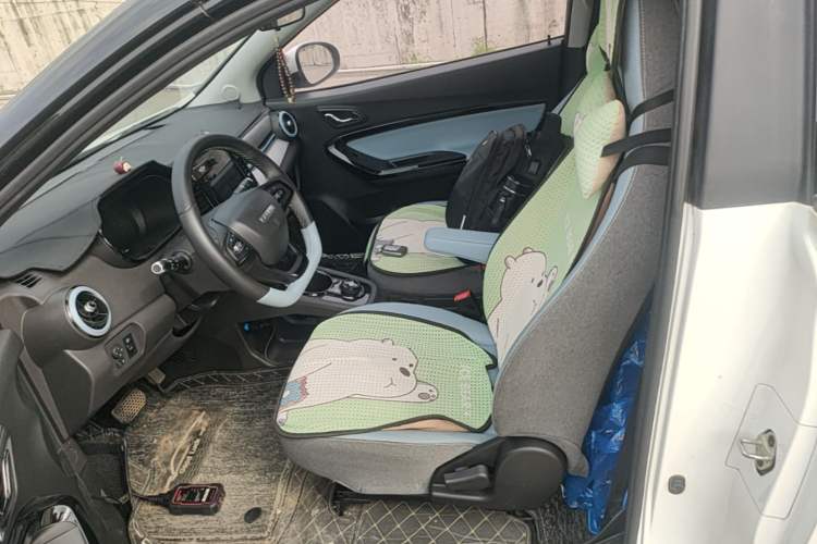 Used Chery QQ Little Ant 2022 Sweet Pink Edition Half-Sugar Version Lithium Iron Phosphate 30 kW 301 km Left Front Seat