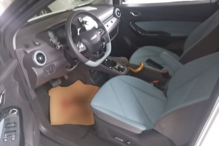 Used Chery QQ Little Ant 2022 Sweet Pink Edition Half-Sugar Version 3-Cell Lithium 30kW 408km Left Front Seat