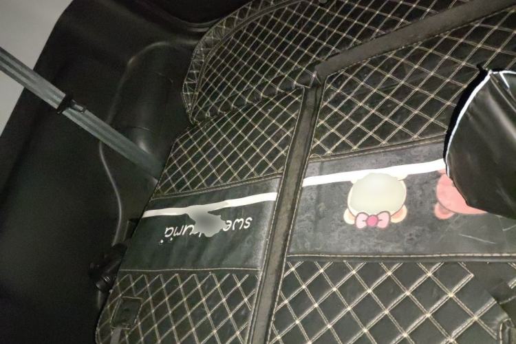 Used Chery QQ Little Ant 2022 Updated Version Sweet Pink Edition Full Sugar Version Lithium Iron Phosphate 30.7 kWh 30 kW 301 km Left Rear Seat