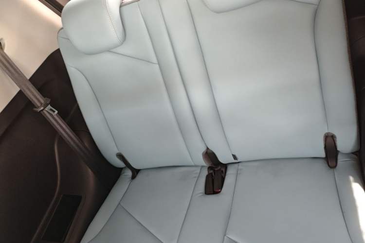 Used Chery QQ Little Ant 2022 Updated Version Sweet Pink Edition Full-Sugar Version 30.6 kWh 30 kW 301 km Left Rear Seat