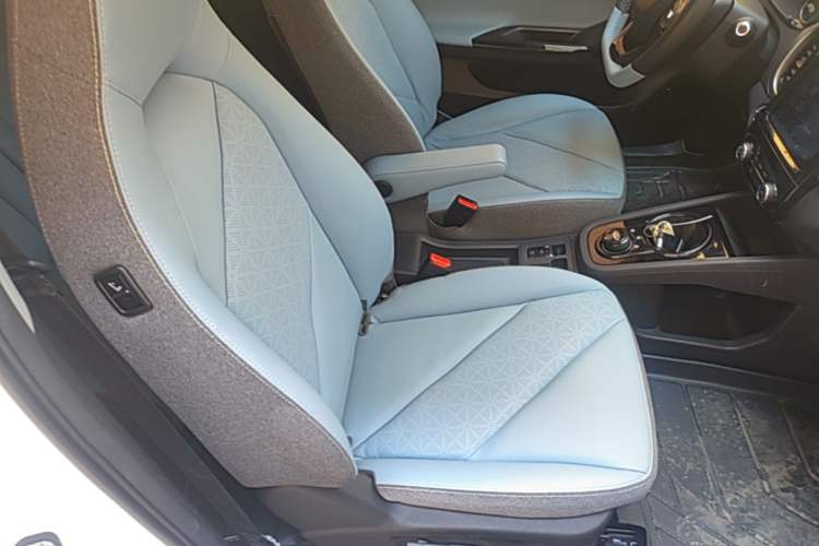 Used Chery QQ Little Ant 2022 Revised Version Sweet Pink Edition Half-Sugar Version Lithium Iron Phosphate 30.7 kWh 30 kW 301 km Right Front Seat