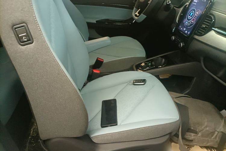 Used Chery QQ Little Ant 2022 Sweet Pink Edition Full-Sugar Version Lithium Iron Phosphate 30 kW 301 km Right Front Seat