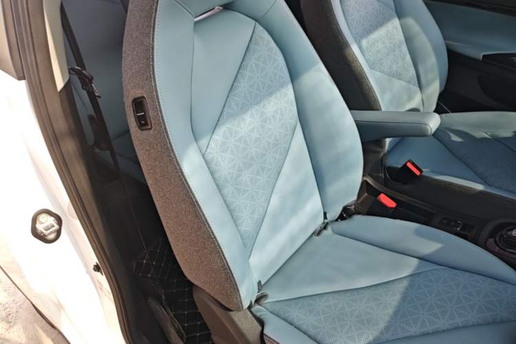 Used Chery QQ Little Ant 2022 Sweet Pink Edition Half-Sugar Version Lithium Iron Phosphate 29.2 kWh 30 kW 301 km Right Front Seat