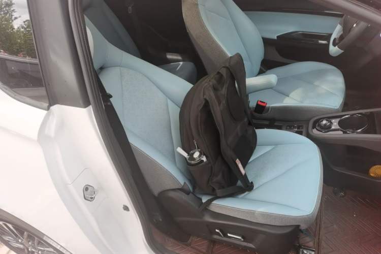 Used Chery QQ Little Ant 2022 Sweet Pink Edition Full-Sugar Version Lithium Iron Phosphate 30 kW 301 km Right Front Seat