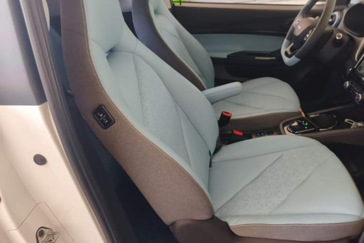 Used Chery QQ Little Ant 2022 Sweet Pink Edition Half-Sugar Version Lithium Iron Phosphate 30 kW 301 km Right Front Seat