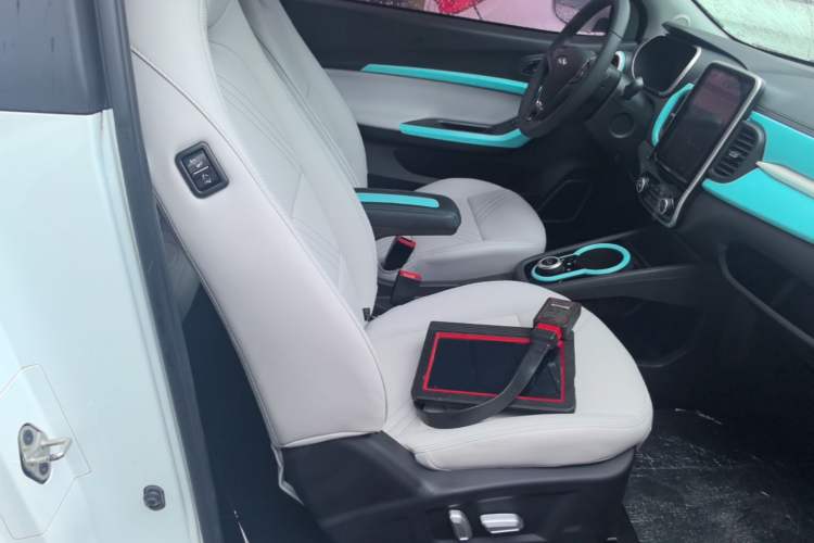 Used Chery QQ Little Ant 2022 Sweet Pink Edition Full-Sugar Version Lithium Iron Phosphate 30 kW 301 km Right Front Seat