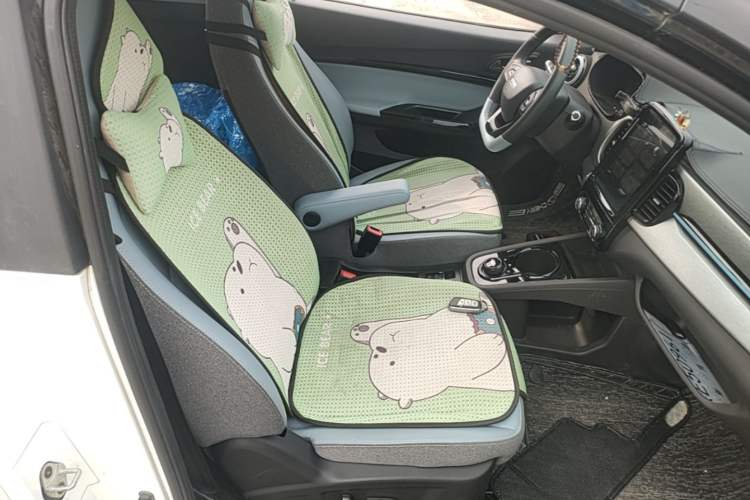 Used Chery QQ Little Ant 2022 Sweet Pink Edition Half-Sugar Version Lithium Iron Phosphate 30 kW 301 km Right Front Seat