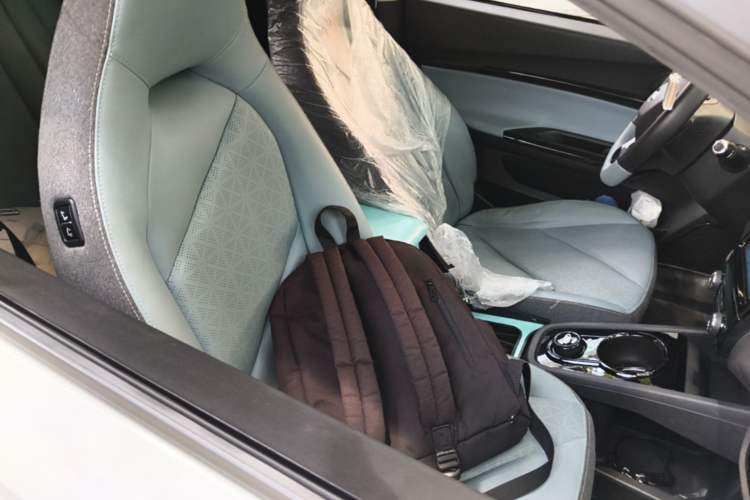 Used Chery QQ Little Ant 2022 Sweet Pink Edition Half-Sugar Version Lithium Iron Phosphate 30 kW 301 km Right Front Seat