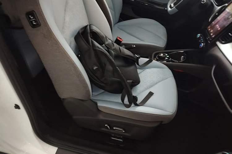 Used Chery QQ Little Ant 2022 Sweet Pink Edition Half-Sugar Version Lithium Iron Phosphate 30 kW 301 km Right Front Seat