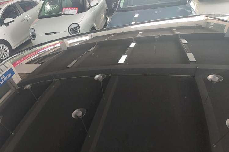 Used Chery QQ Little Ant 2022 Sweet Pink Edition Half-Sugar Version Lithium Iron Phosphate 30 kW 301 km Roof