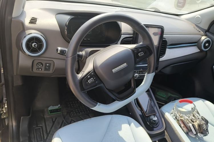 Used Chery QQ Little Ant 2022 Sweet Pink Edition Full-Sugar Version Lithium Iron Phosphate 30 kW 301 km Steering Wheel