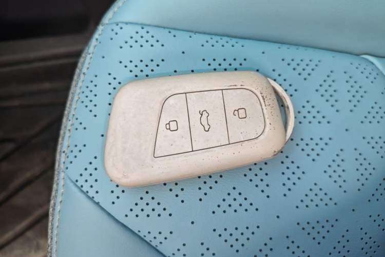 Used Chery QQ Little Ant 2022 Revised Version Sweet Pink Edition Half-Sugar Version Lithium Iron Phosphate 30.7 kWh 30 kW 301 km Vehicle Key