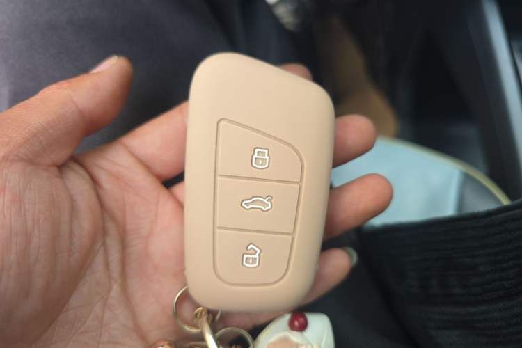 Used Chery QQ Little Ant 2022 Sweet Pink Edition Low-Sugar Version Lithium Iron Phosphate 30 kW 301 km Vehicle Key