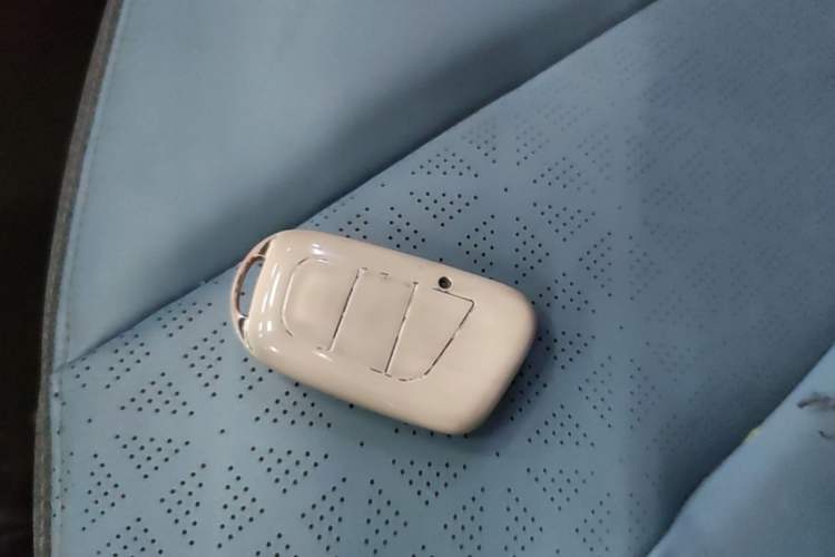 Used Chery QQ Little Ant 2022 Sweet Pink Edition Half-Sugar Version Lithium Iron Phosphate 30 kW 301 km Vehicle Key
