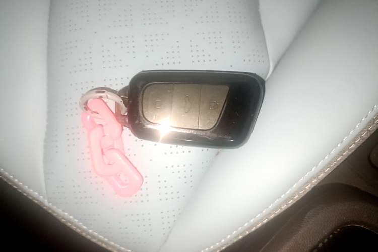 Used Chery QQ Little Ant 2022 Sweet Pink Edition Half-Sugar Version 3-Cell Lithium 30kW 301km Vehicle Key