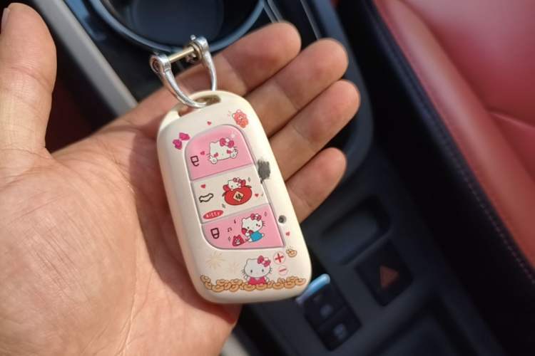 Used Chery QQ Little Ant 2022 Sweet Pink Edition Full-Sugar Version Lithium Iron Phosphate 30 kW 301 km Vehicle Key